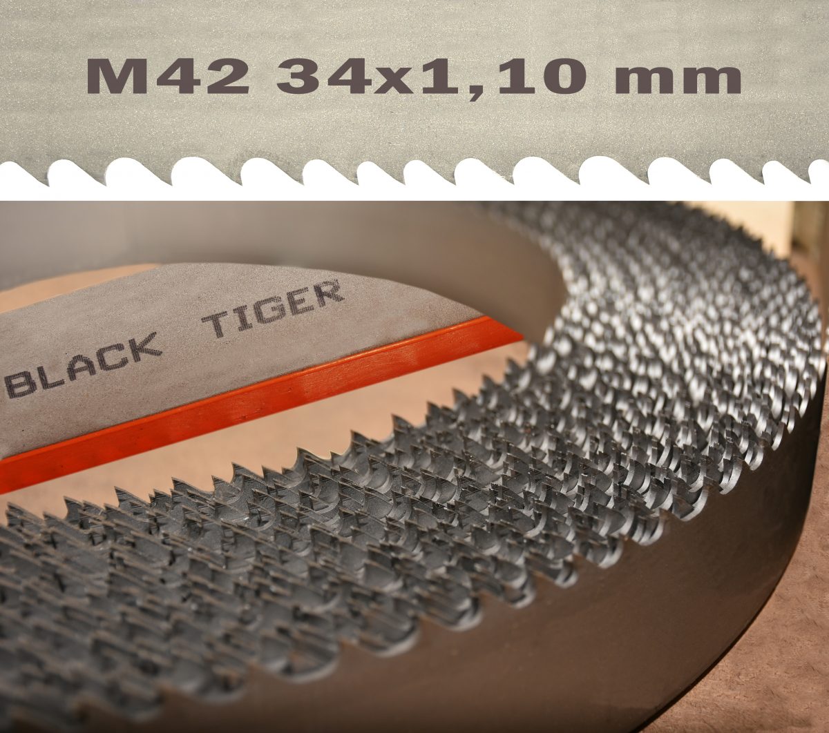 BLACK TIGER Bi Metal Multicut M42 34x1,10